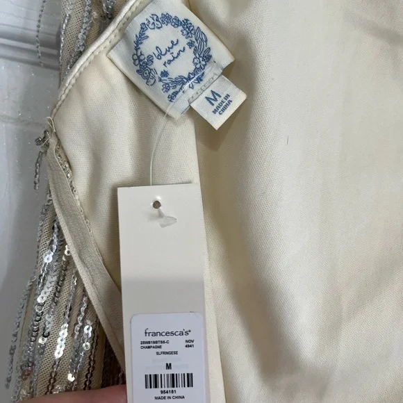 NWT Francesca's Sequin Fringe Dress by Blue Rain - Picture 7 of 8